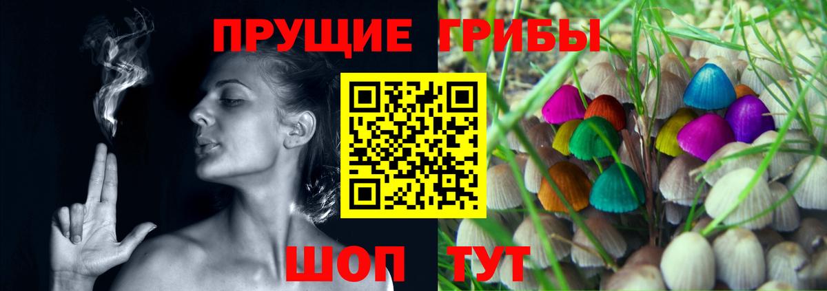 Псилоцибиновые грибы Psilocybine cubensis  цена наркотик  Вход с VPN  Жигулёвск  Псилоцибиновые грибы GOLDEN TEACHER 